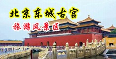 葵千惠毛片中国北京-东城古宫旅游风景区